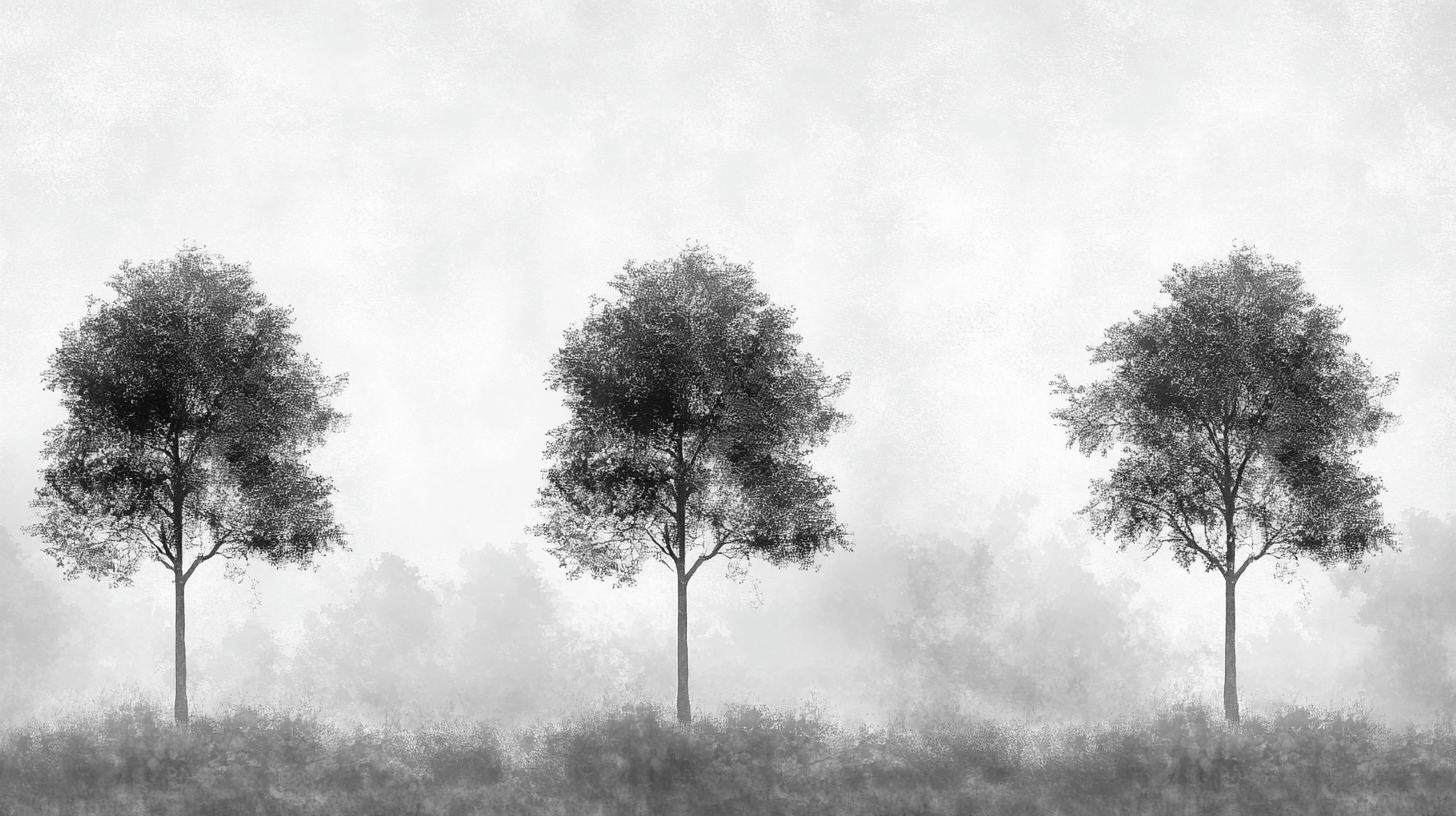 Papier Peint Arbre Gris Et Noir