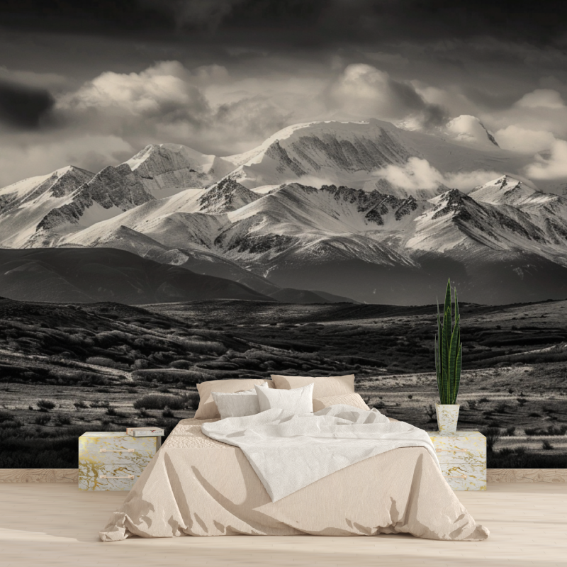 Papier peint montagne noir et b...les aravis tapisserie 2025