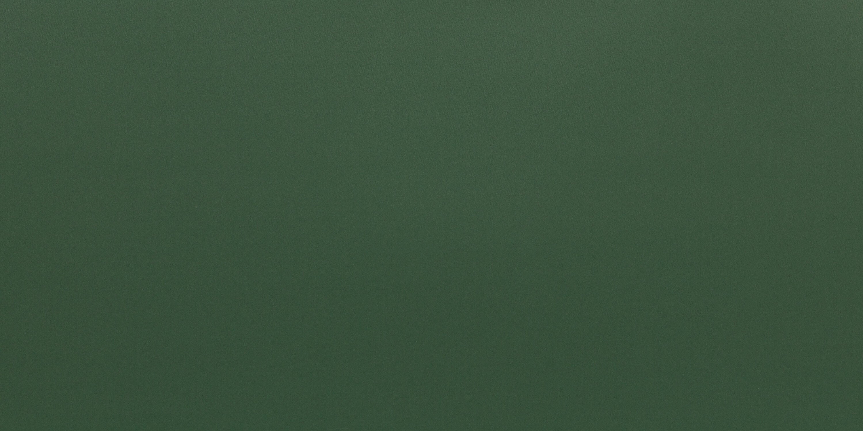 Papier Peint Vert Sapin