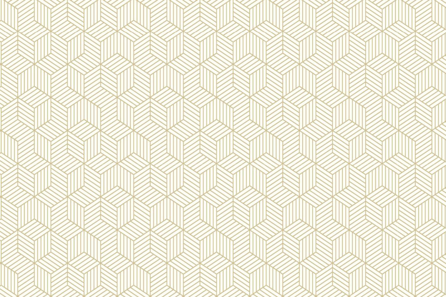 Scandinavisch geometrisch behang