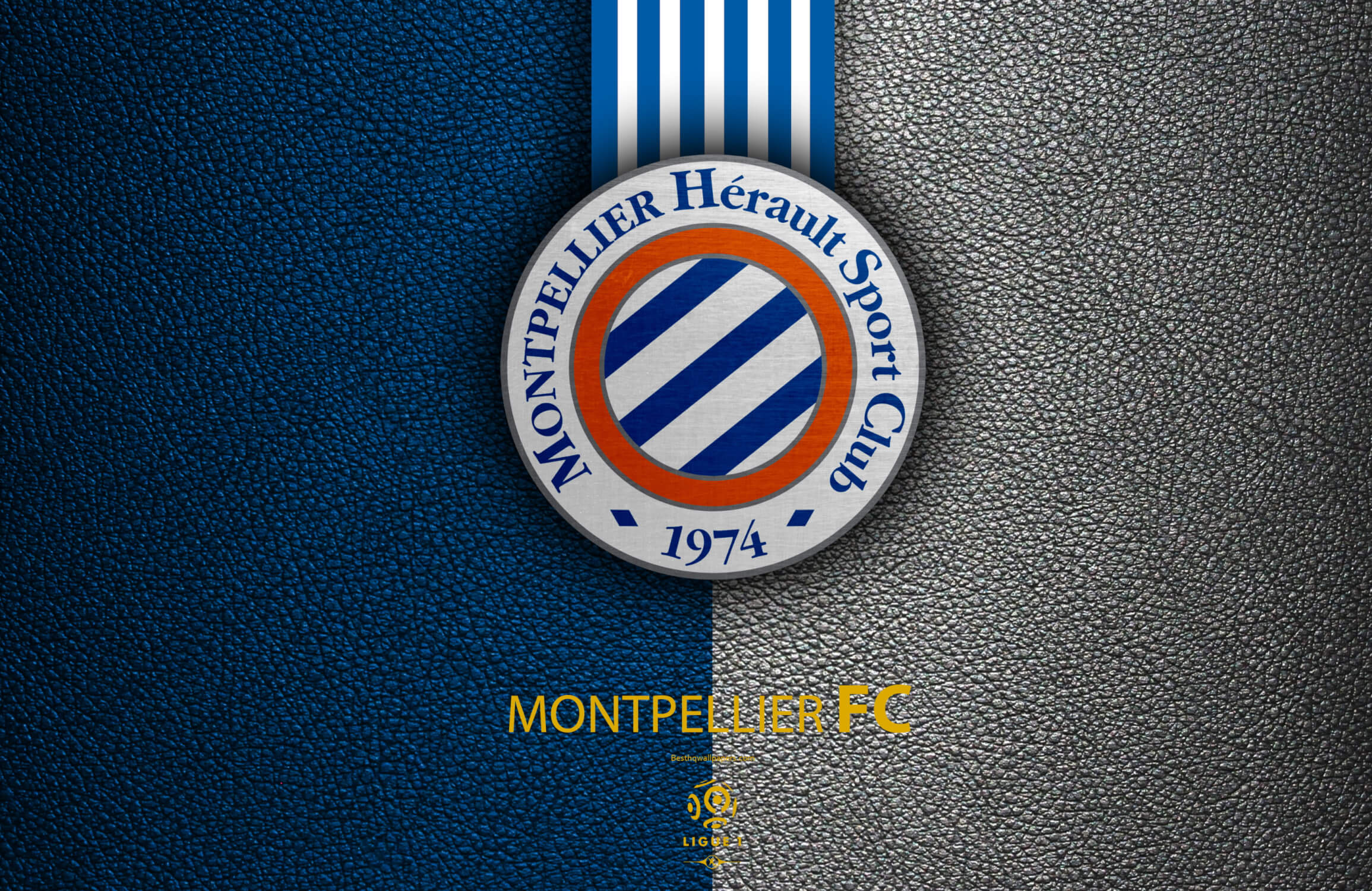 Papier Peint Chambre Ado Deco Club De Foot De Montpellier