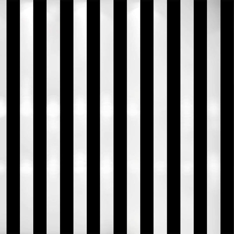 Papier Peint Rayé Noir et Blanc