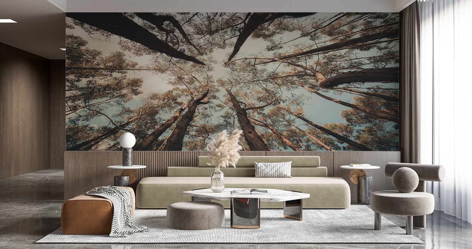 Papier Peint Arbre Foret