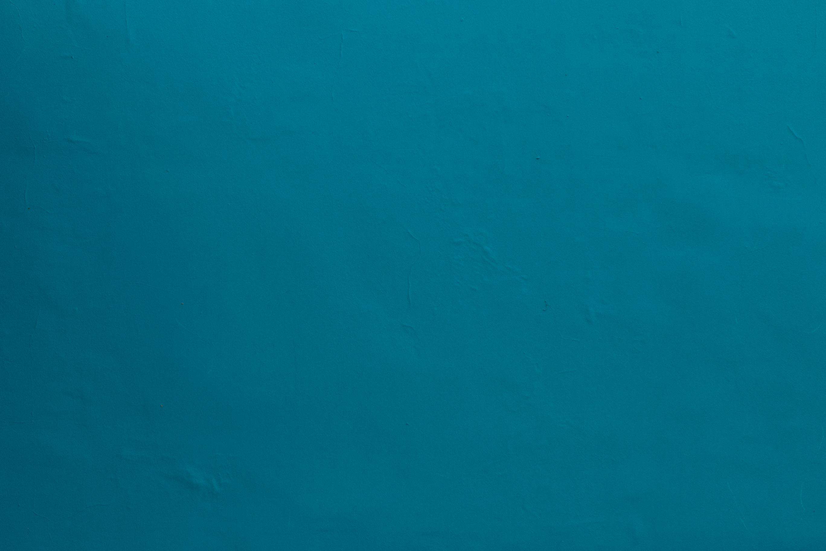 United Duck Blue Wallpaper