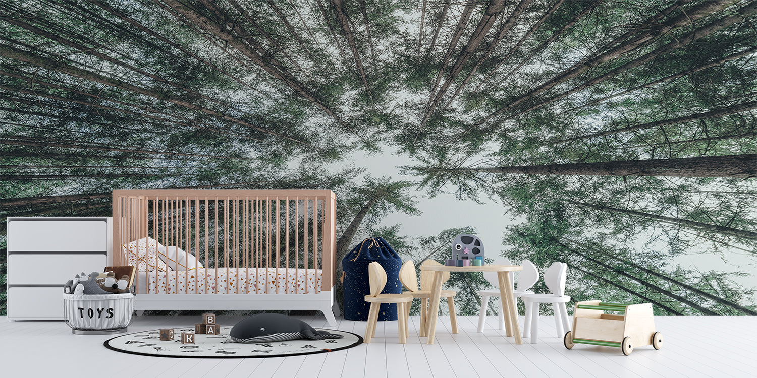 Papier Peint Rond Foret