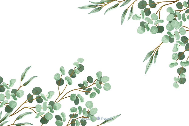 Papier Peint Vert Eucalyptus Chambre