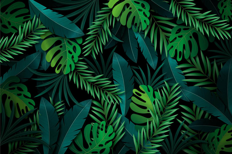 Papier Peint Jungle Noir Et Vert