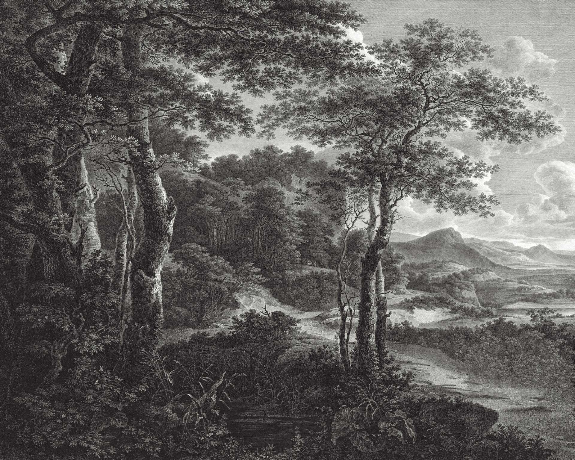 Schwarz-weiße Fresko-Tapete